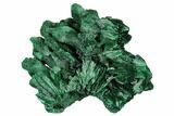 Silky, Fibrous Malachite Cluster - Congo #175334-1